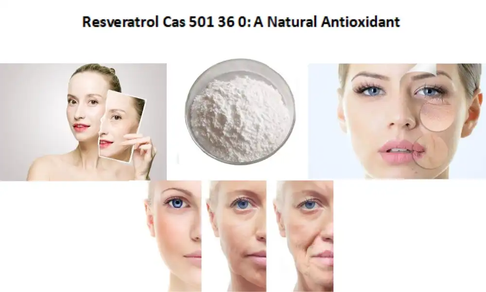 Resveratrol Cas 501 36 0: A Natural Antioxidant